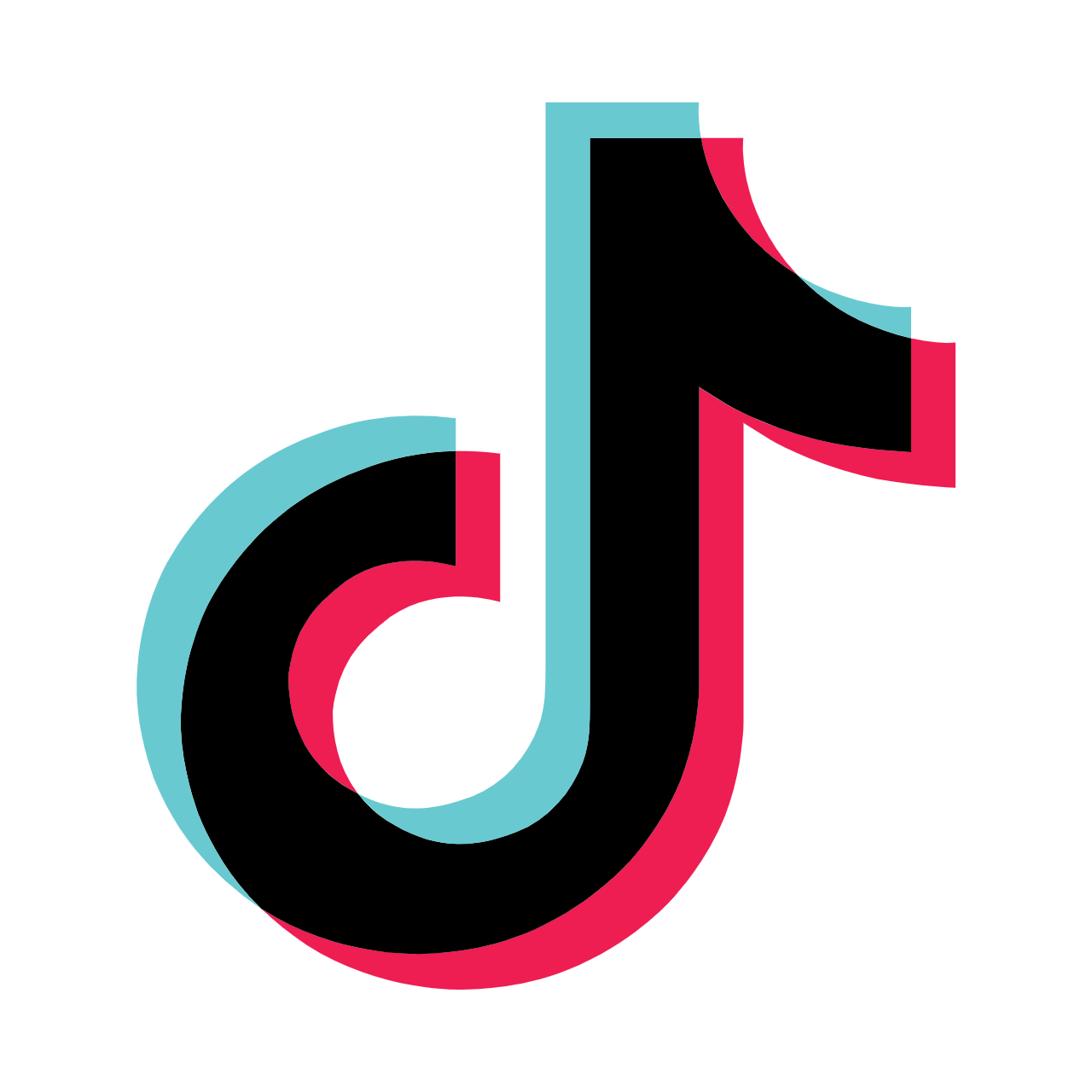 Ikon TikTok